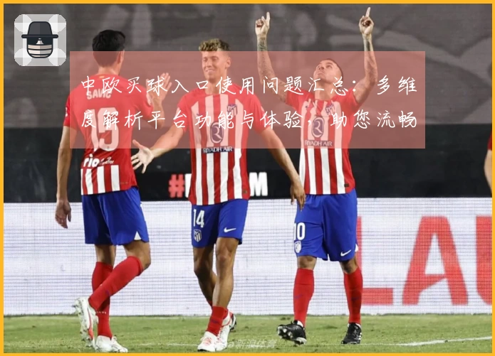 中欧买球入口使用问题汇总：多维度解析平台功能与体验，助您流畅畅玩。