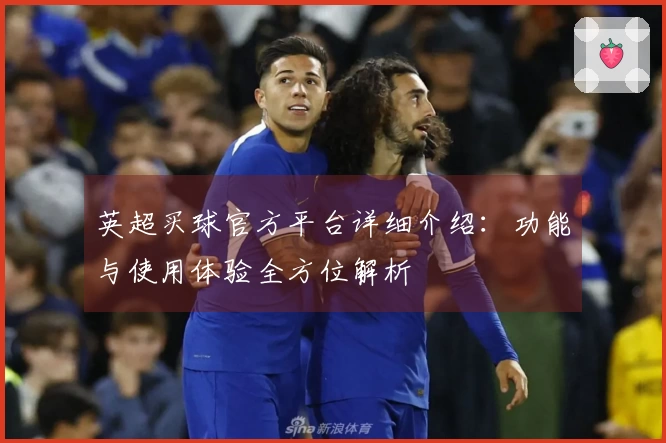 英超买球官方平台详细介绍：功能与使用体验全方位解析