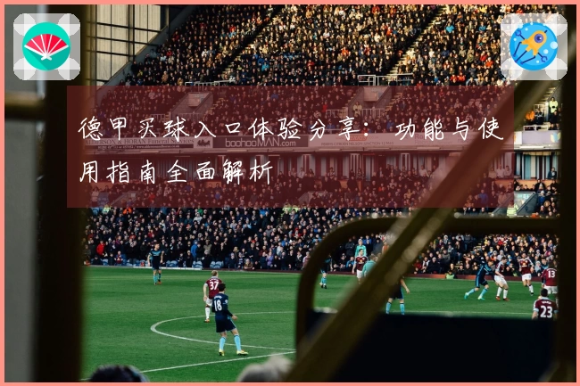 德甲买球入口体验分享：功能与使用指南全面解析